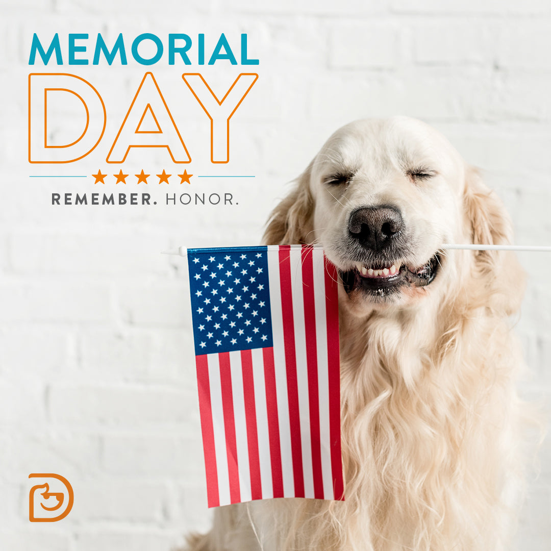 "Memorial Day" Dog & Puppy Gift Box!  Now Available Year Round!