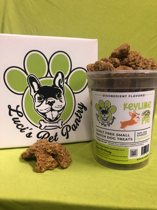 Key Lime Pie - All Natural "Key Lime" Dog & Puppy Treats - Disobedient Tub of Biscuits