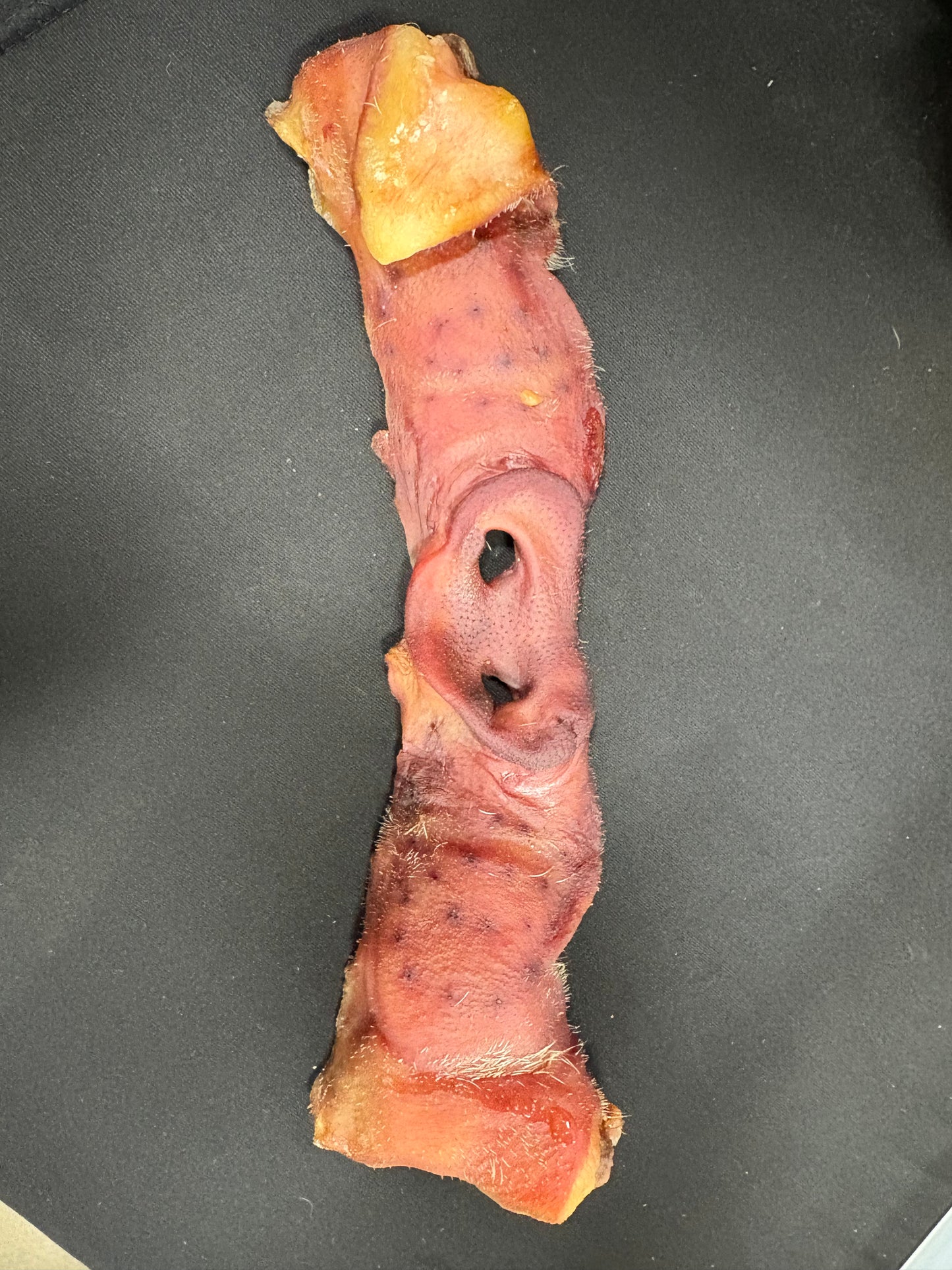 All Natural Pig Snout Chews: NO Rawhide! Protein Enriched Dog & Puppy Chew Sticks