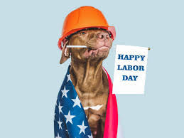 "Labor Day" Dog & Puppy Gift Box!  Now Available Year Round!