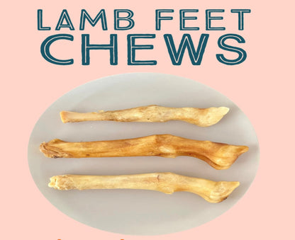 Dehydrated Lamb Trotter All Natural Healthy Dog Chews - For Heavy Chewers!