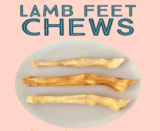 Dehydrated Lamb Trotter All Natural Healthy Dog Chews - For Heavy Chewers!