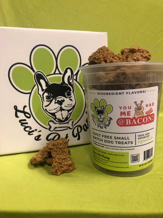 You Had Me @ Bacon - All Natural "Bacon" Dog & Puppy Treats - Disobedient Tub of Biscuits